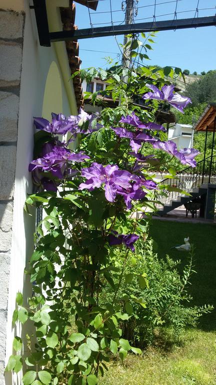 Guest House Benita Девін Екстер'єр фото